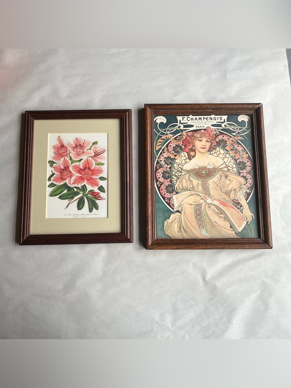 Medium Wood Tone Picture Photo Frames w/ Fine Art Prints-Set of 2